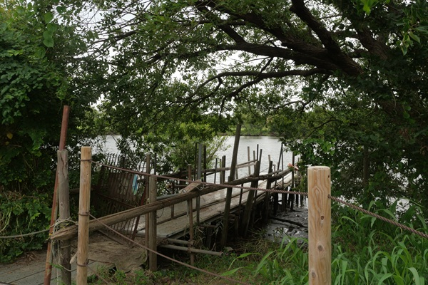 画像 -20270211-221533-94f5beec_4158